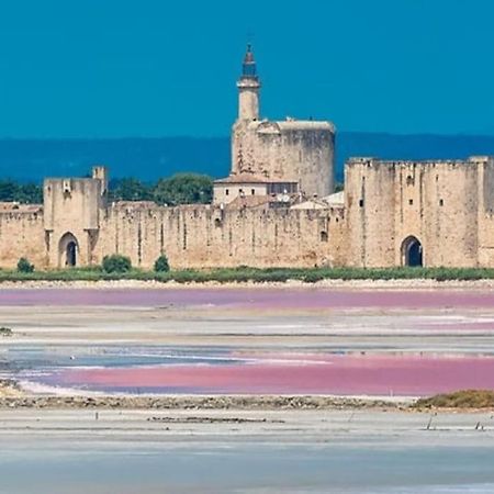 Studio En Petite Camargue Le Cailar المظهر الخارجي الصورة