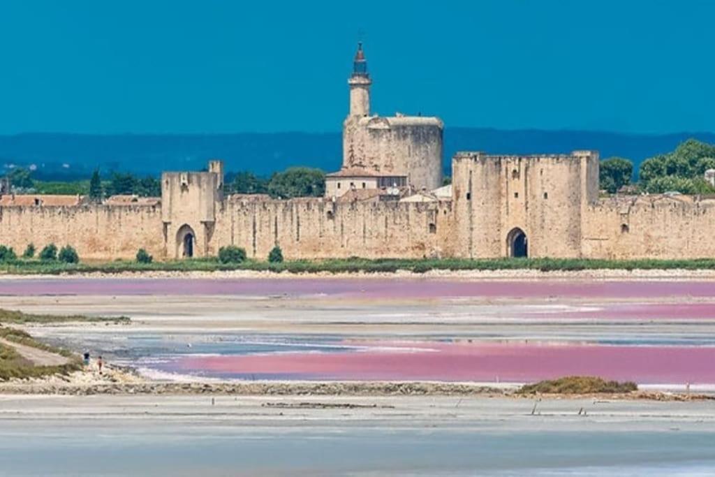 Studio En Petite Camargue Le Cailar المظهر الخارجي الصورة